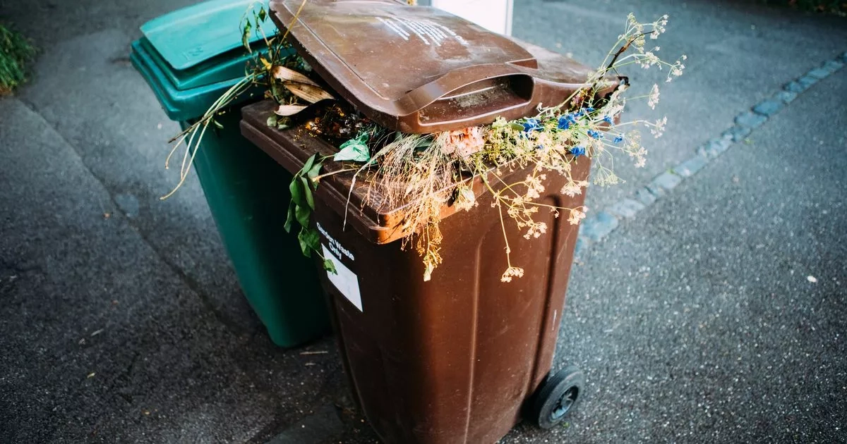Nine things you should never put in your garden waste bin or face a fine