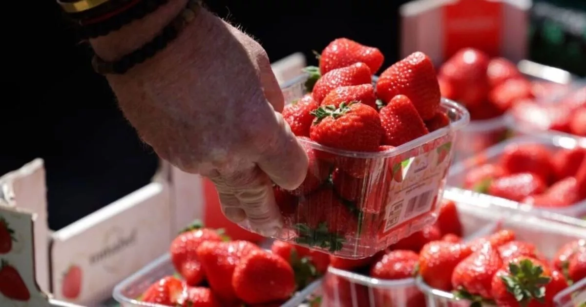 UK strawberry warning at Tesco, M&S and Sainsbury's as experts 'never seen anything like it'