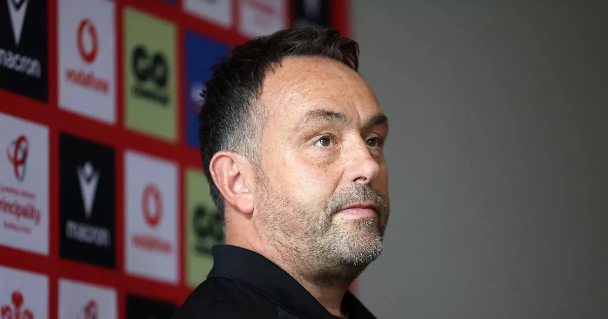 Matt Sherratt has huge Japan calls to make as several Wales stars face defining tours