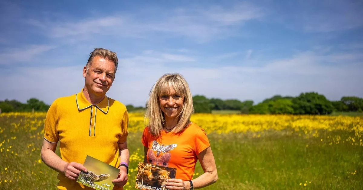 BBC Springwatch stars share real truth behind their on-set 'fallouts'