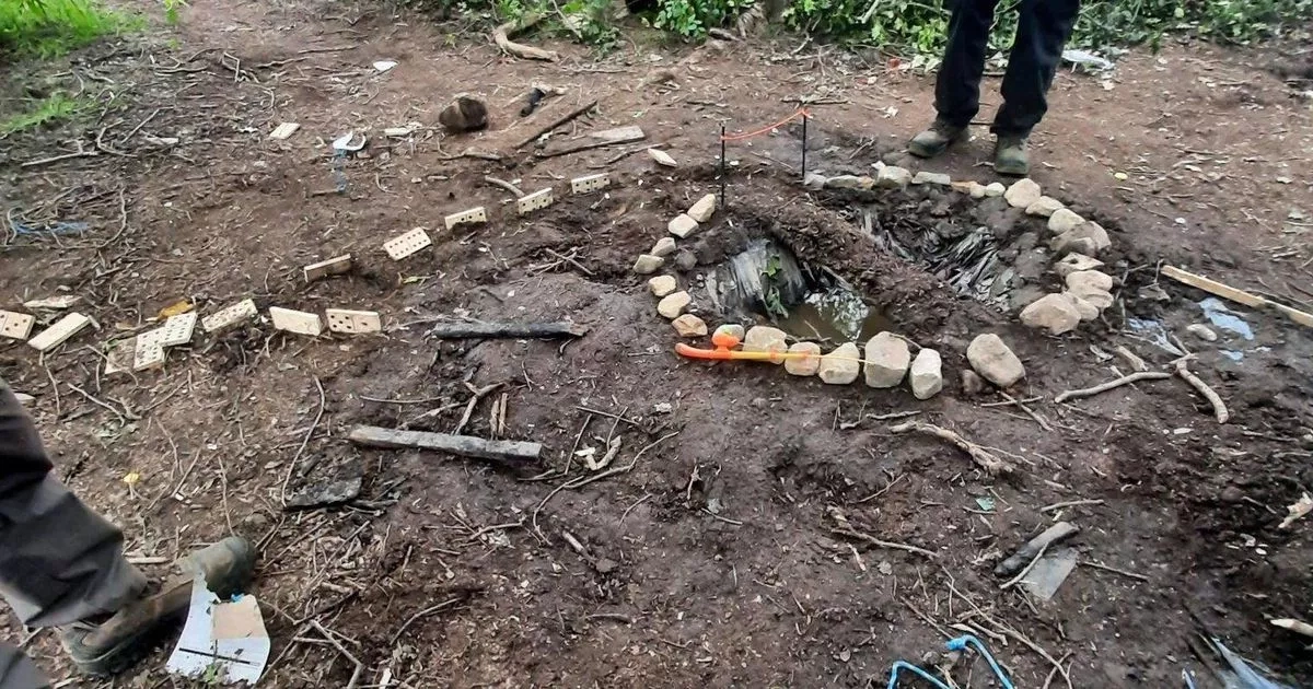 Police warning over behaviour of children in woodland divides opinion