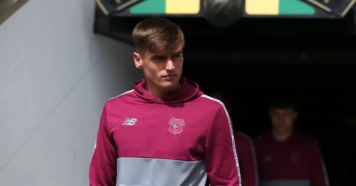 Cardiff City face battle to keep hold of rising talent as top clubs show interest