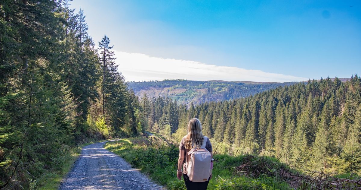 Scenic trails in Wales with lush food stops that are worth the detour