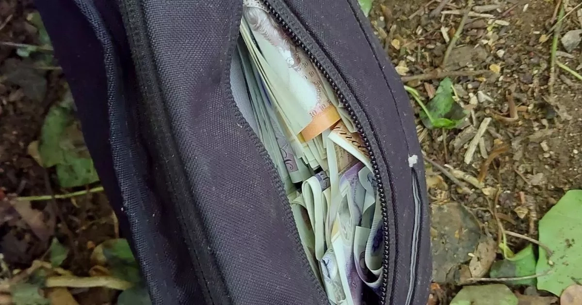 Dog finds bag jammed with thousands of pounds, and that's not all