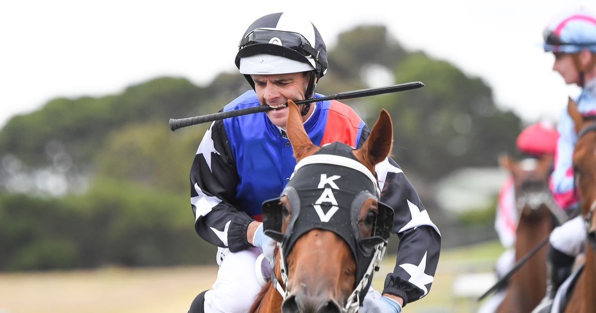 Horseracing jockey hospitalised after 'physical altercation' with rival half his age