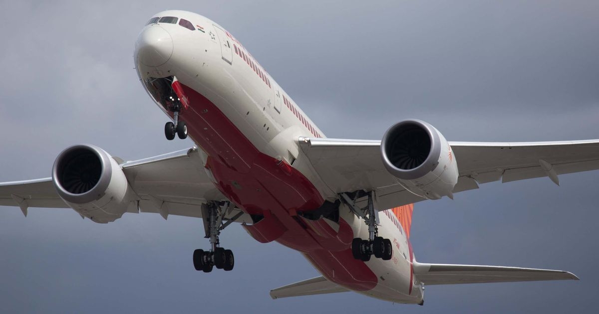 'Multiple bird hits' could be cause of Air India crash, says ex-pilot