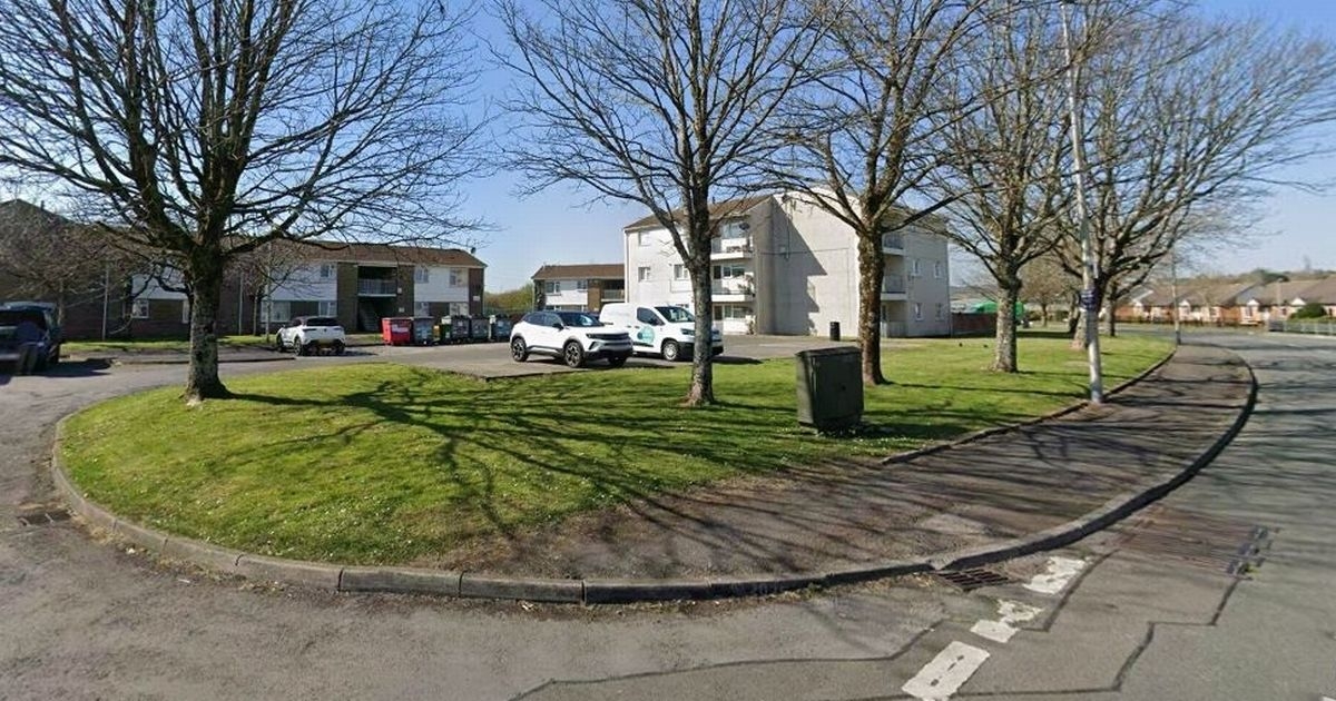 Police investigate after pair have sex in public in Welsh town