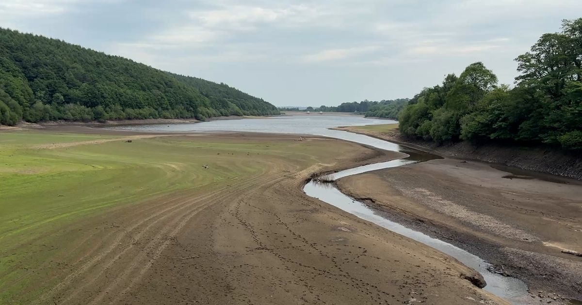 UK region enters 'drought status' after driest spring in 132 years