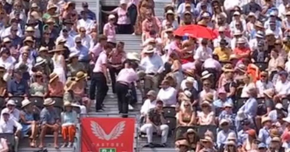 Queen's tennis match halted as cries of 'stop, stop, stop' heard on TV coverage
