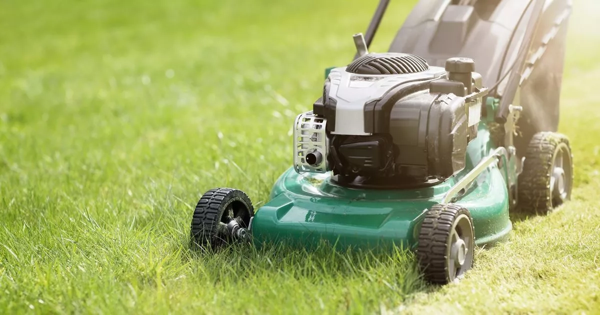 Monty Don says today is the time to start cutting grass