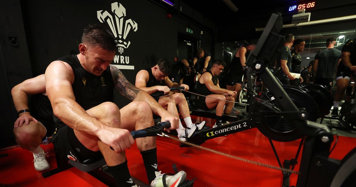 New Wales training is even more brutal than Gatland's infamous bootcamps