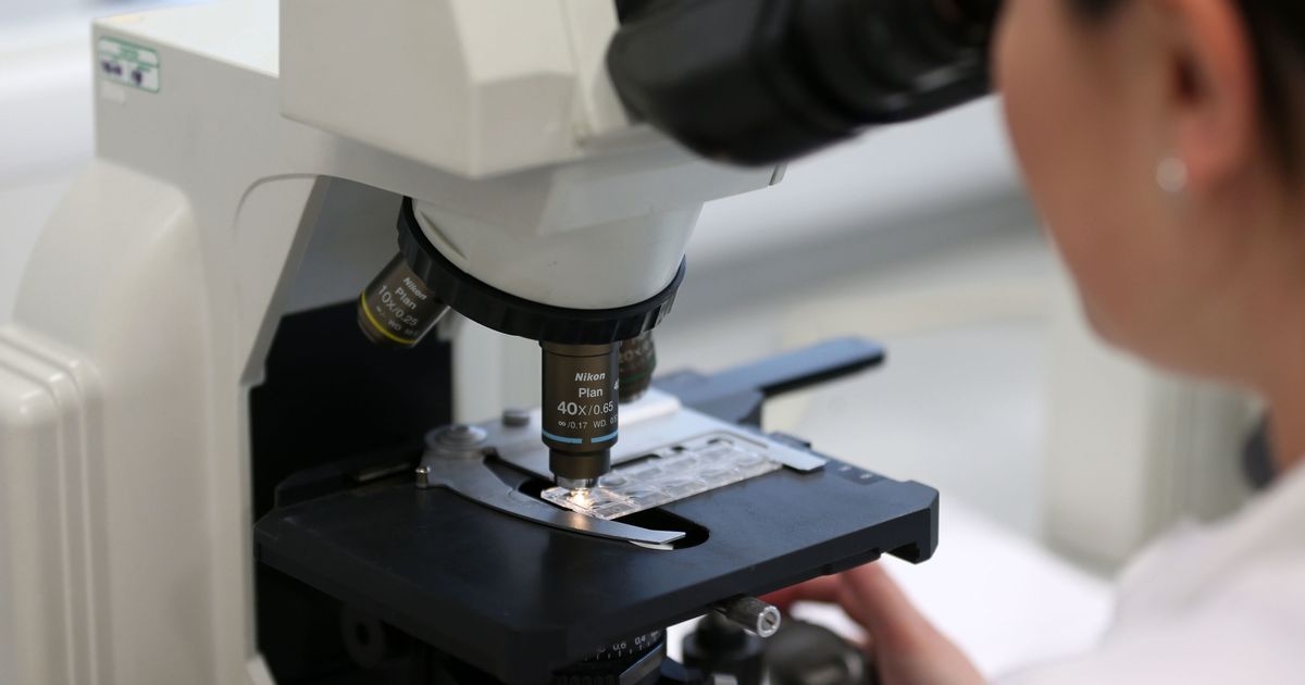 Speed of improvement in cancer survival rates ‘slowing', say experts