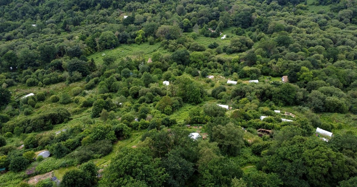 There's a tiny hidden village in Wales where everyone lives in fairytale huts dotted around the woodland
