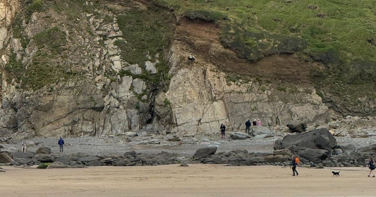 Child got stuck on a cliff 25m above popular Welsh beach