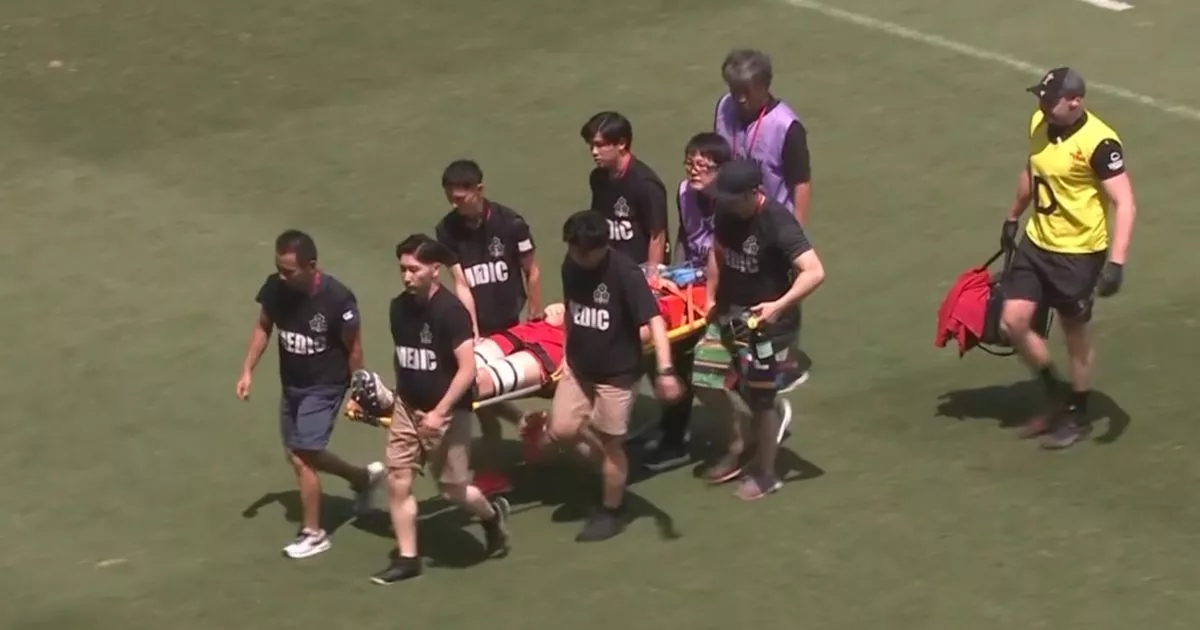 Wales v Japan halted just seconds into match after worrying incident