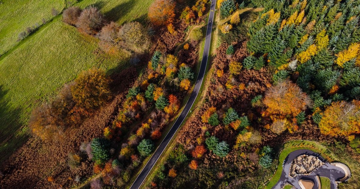 Beautiful forest has views like nowhere else in Wales but there's a catch