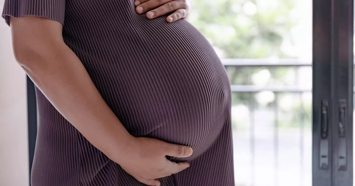 Percentage of pregnancies ending in abortion reaches record high