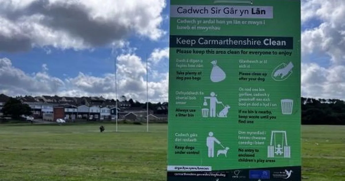 Sports pitches in Carmarthenshire are being ruined by dog poo which is not being picked up