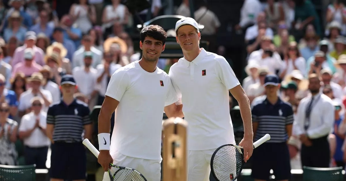 BBC Wimbledon fans demand commentator is dropped after men's final