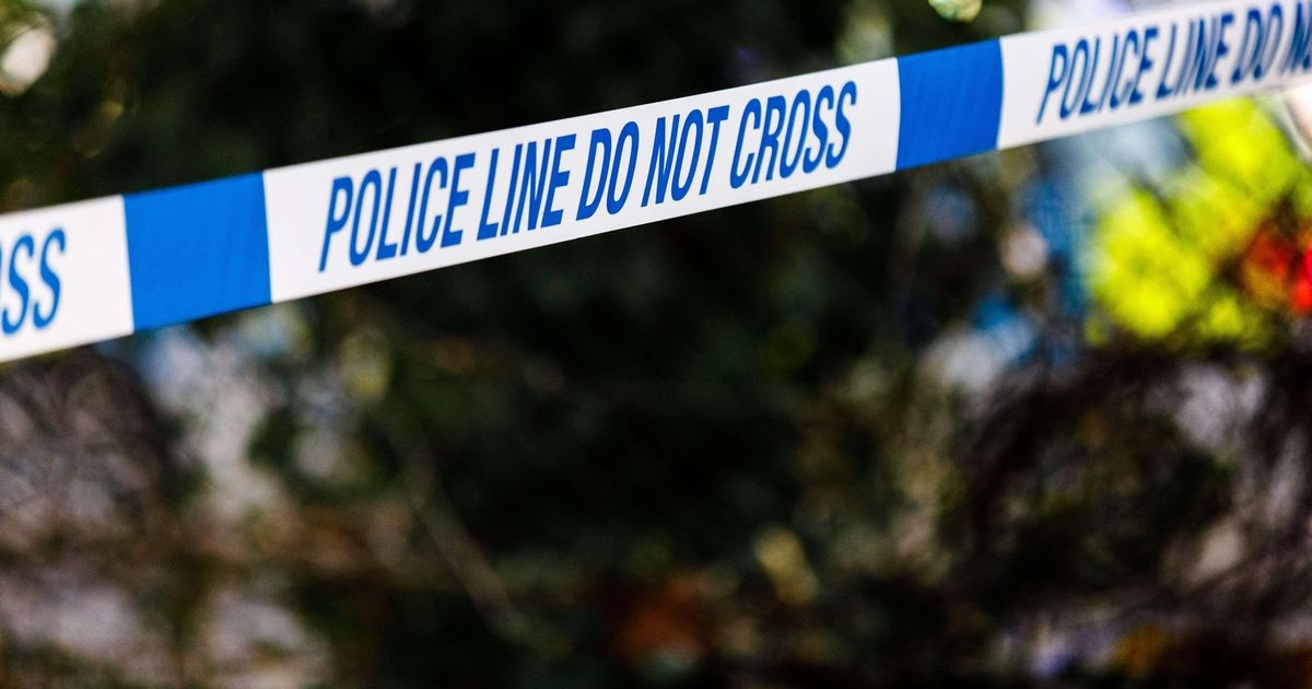 Police investigate footage of naked man in mask walking down street