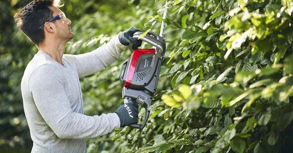 UK gardeners warned over possible fine for illegal hedge cutting