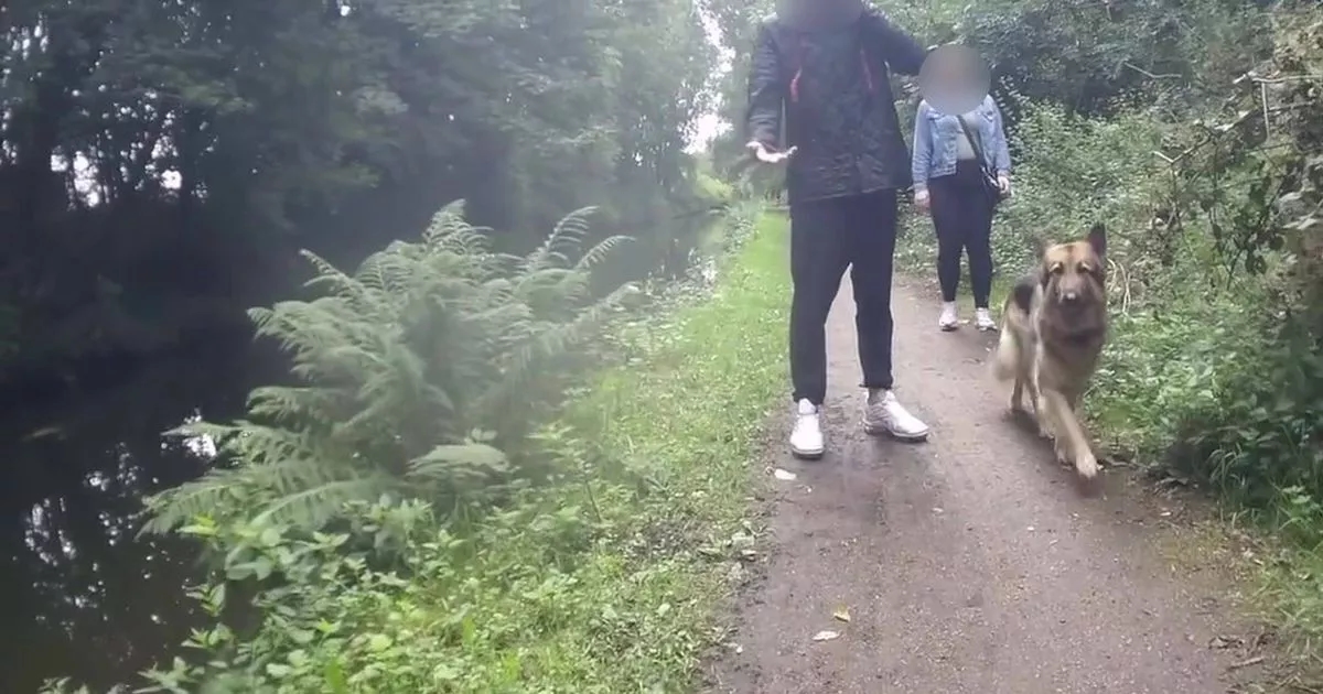Debate rages after female cyclist pushed into canal