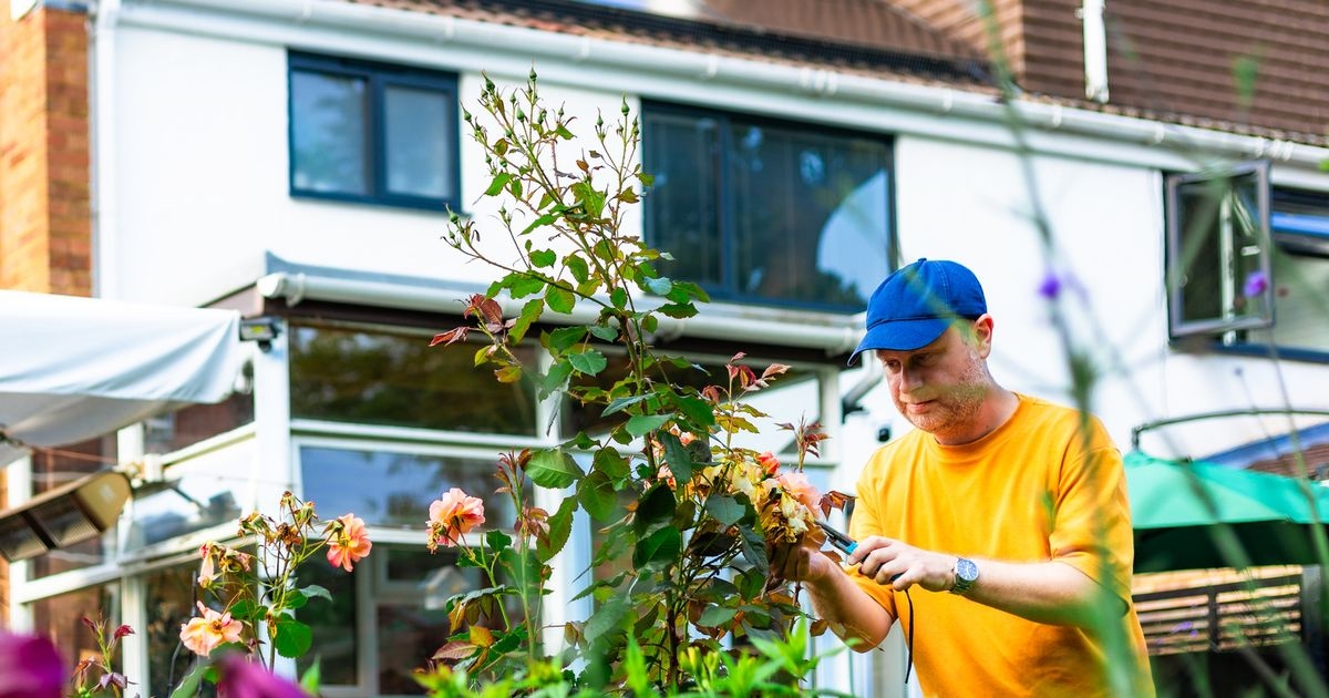 'My neighbour keeps changing my front garden while I'm out - I hate what he says'