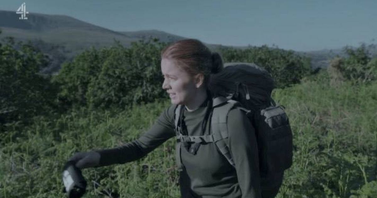 Celebrity SAS stars 'to receive full fee' despite quitting minutes into show