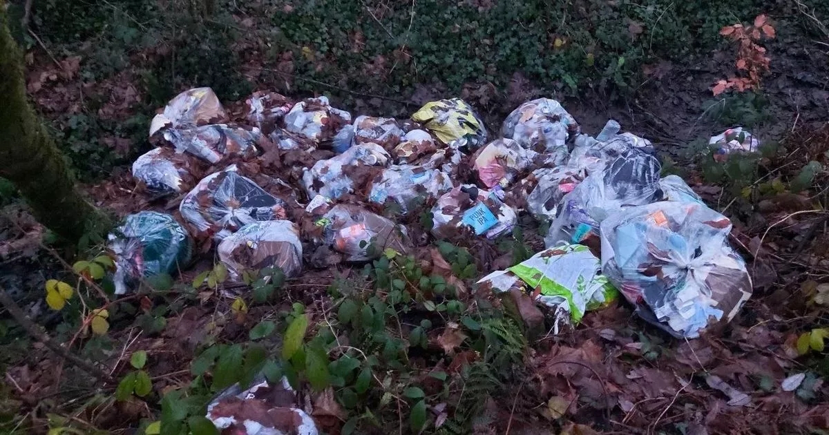 Man ordered to pay £1,100 after dumping 29 bags of rubbish in countryside