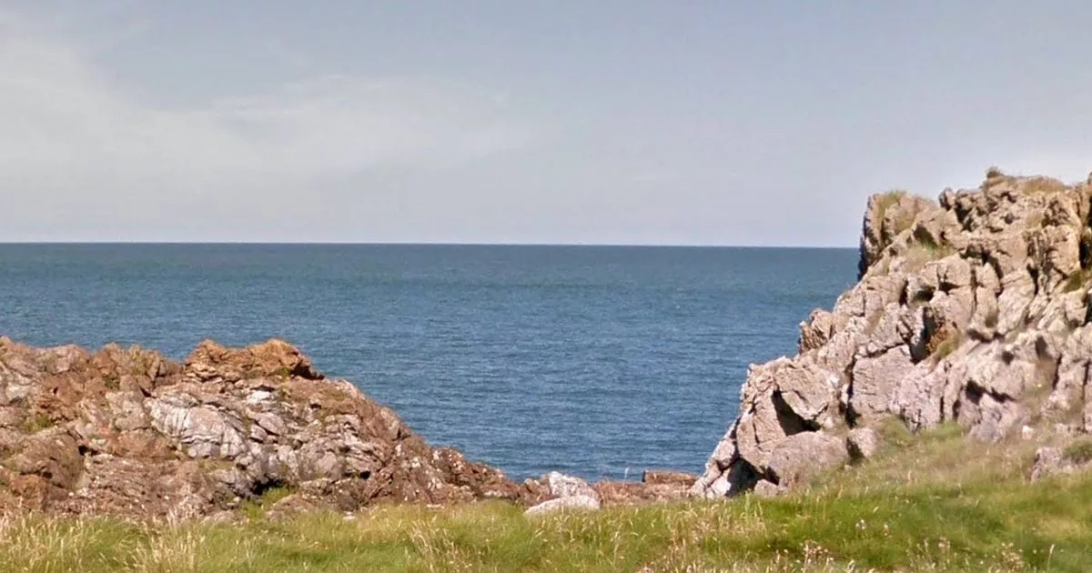 50-foot whale found off Welsh coast as coastguard helicopter deployed