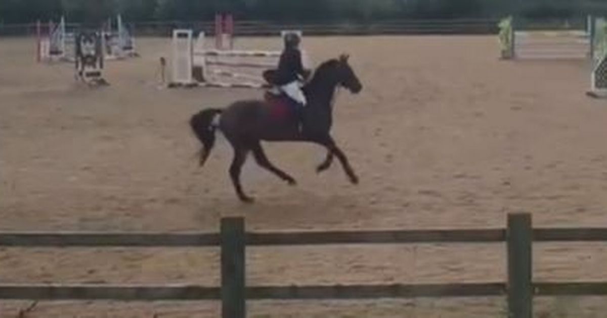 British horse rider tragically dies aged 37 after fatal fall as event cancelled