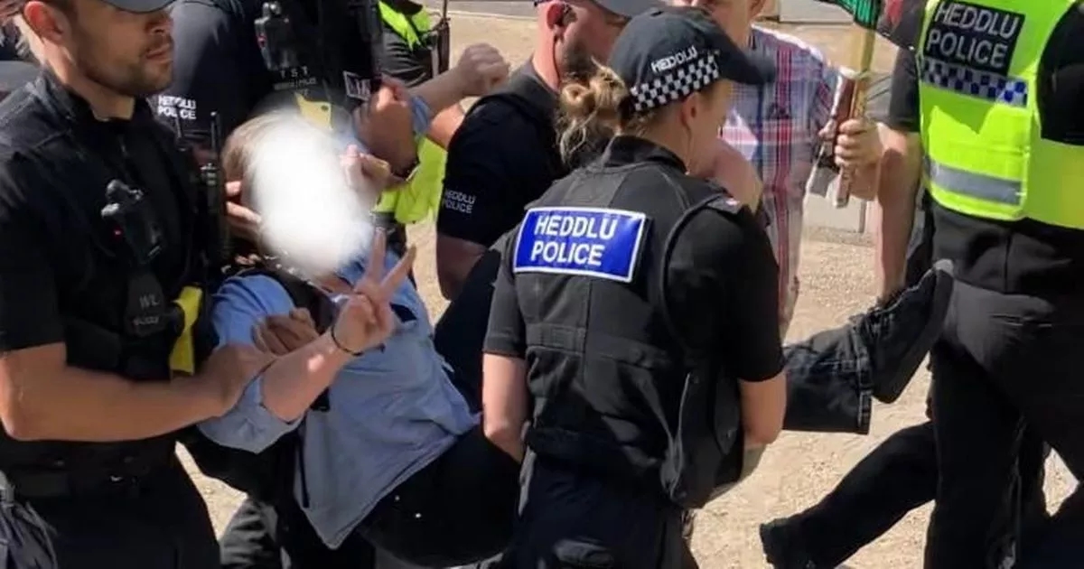 Woman arrested during protest in Cardiff city centre