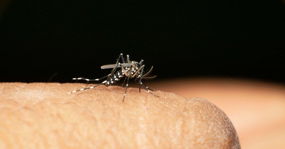 Urgent alert after 'worrying' rise in virus causing 'pain for years'