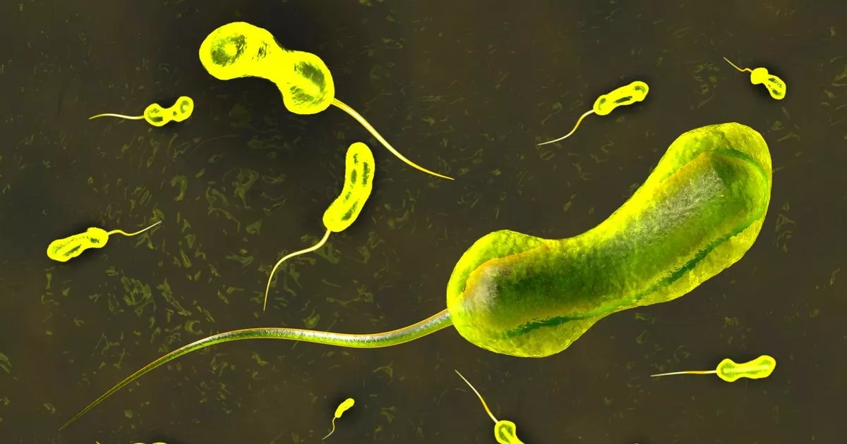 Warning over return of 19th century disease after 4,332 deaths