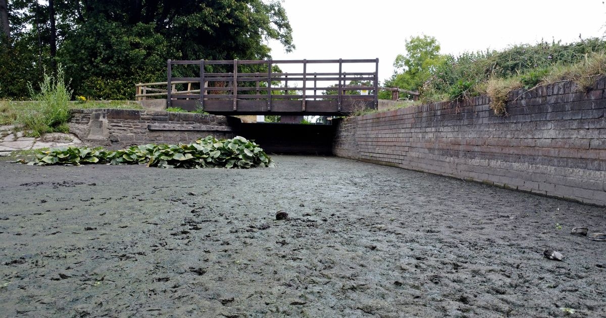 Startling pictures show how Welsh canal has dried up this summer