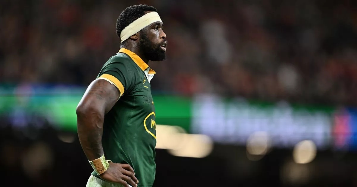 Springbok star issues apology as Rassie Erasmus turns air blue after stunning collapse