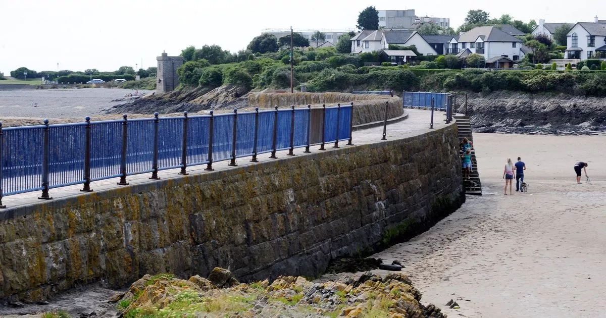 Rare habitat in Wales threatened by jet skiers, dog walkers and sewage