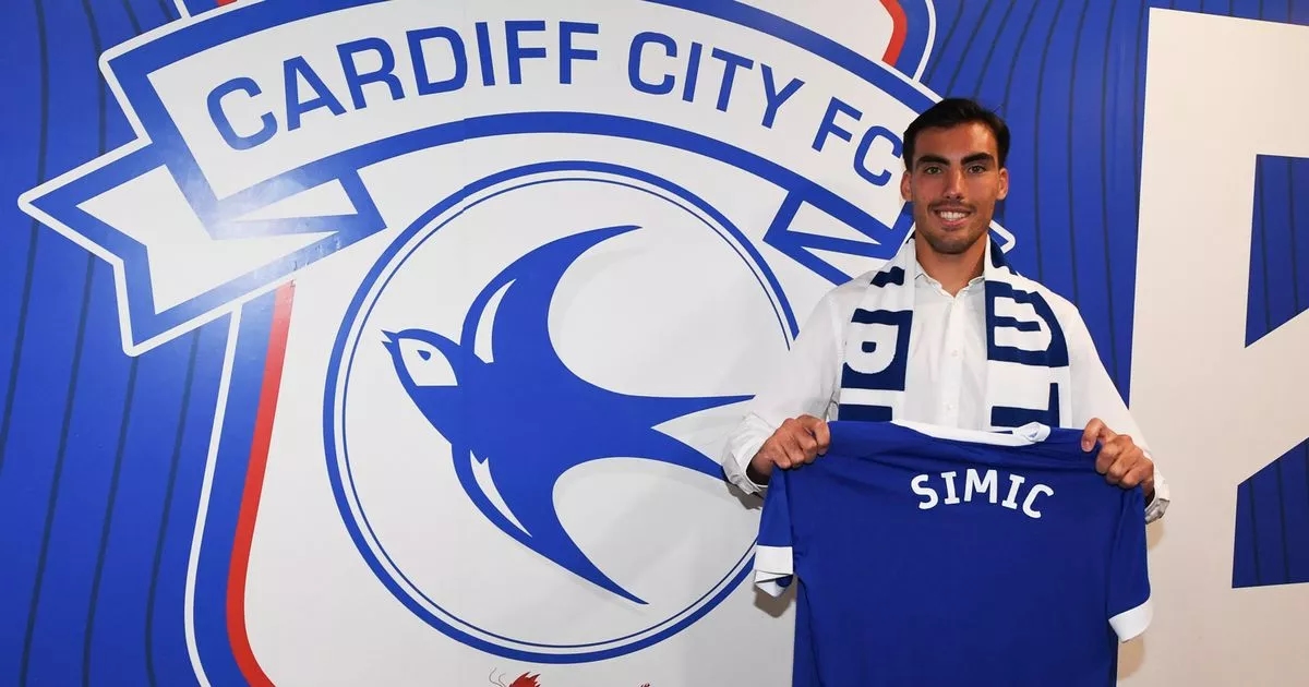 I knew something was off about Cardiff City transfer — and it points to a bigger problem