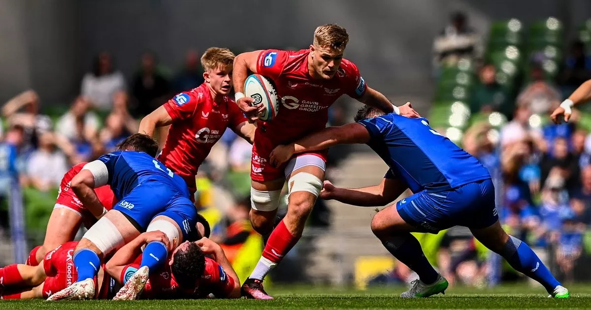 Scarlets' season ended by Leinster despite valiant performance