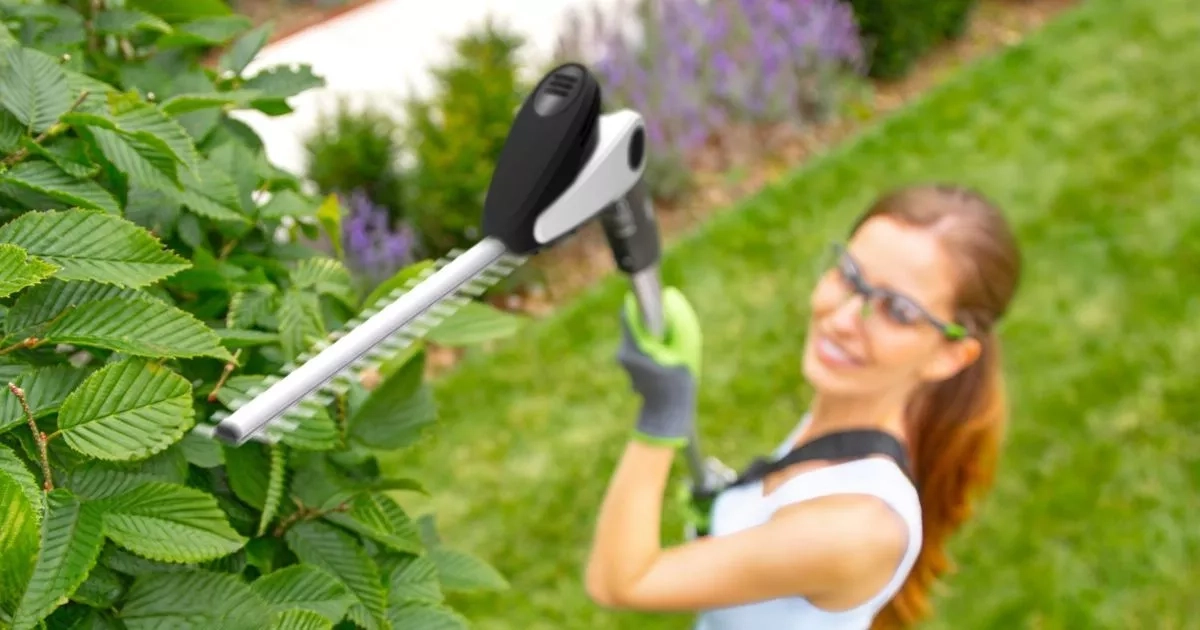 Gtech knocks £70 off 'lightweight' cordless hedge trimmer with 'plenty of power'