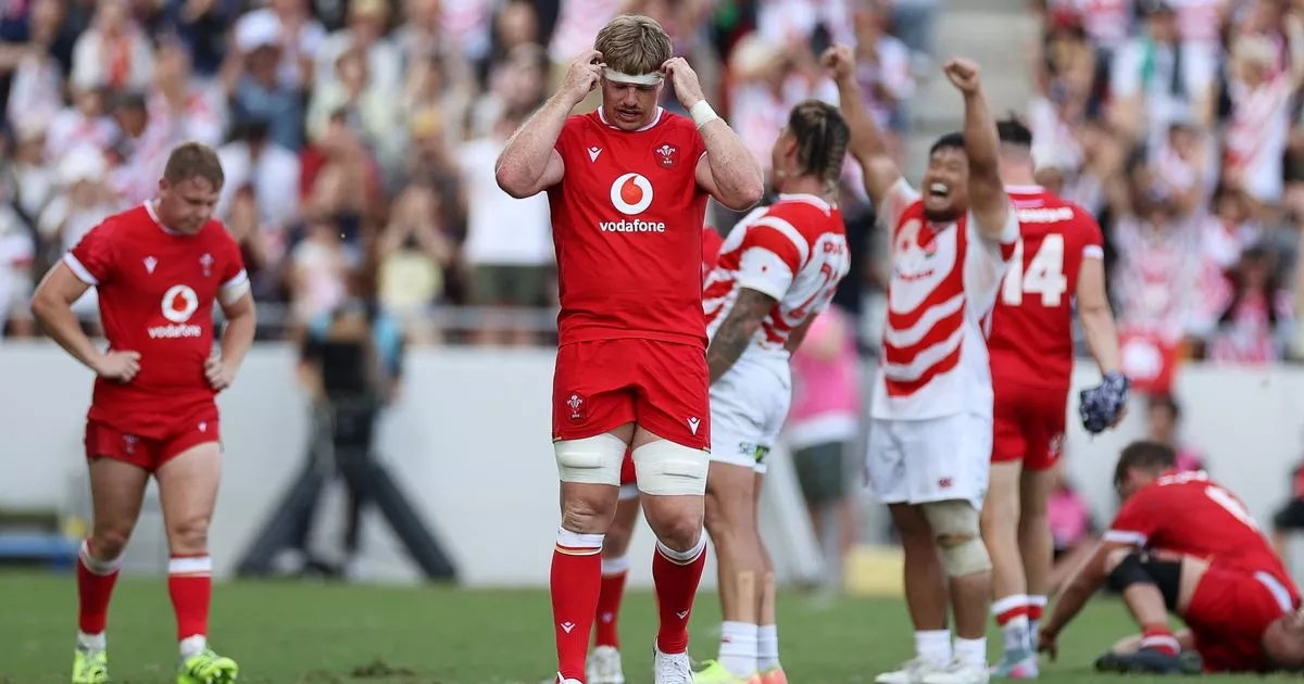 Nigel Owens: The jewel in the crown that Welsh rugby simply has to get right