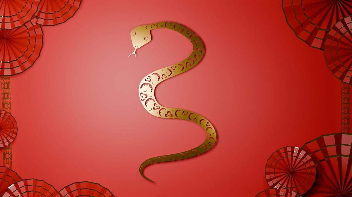 What is the Year of the Snake?