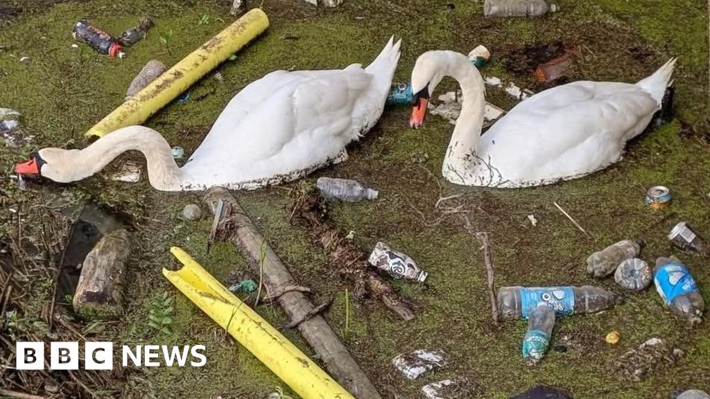 Rubbish cleared from Weymouth nature reserve Radipole Lake