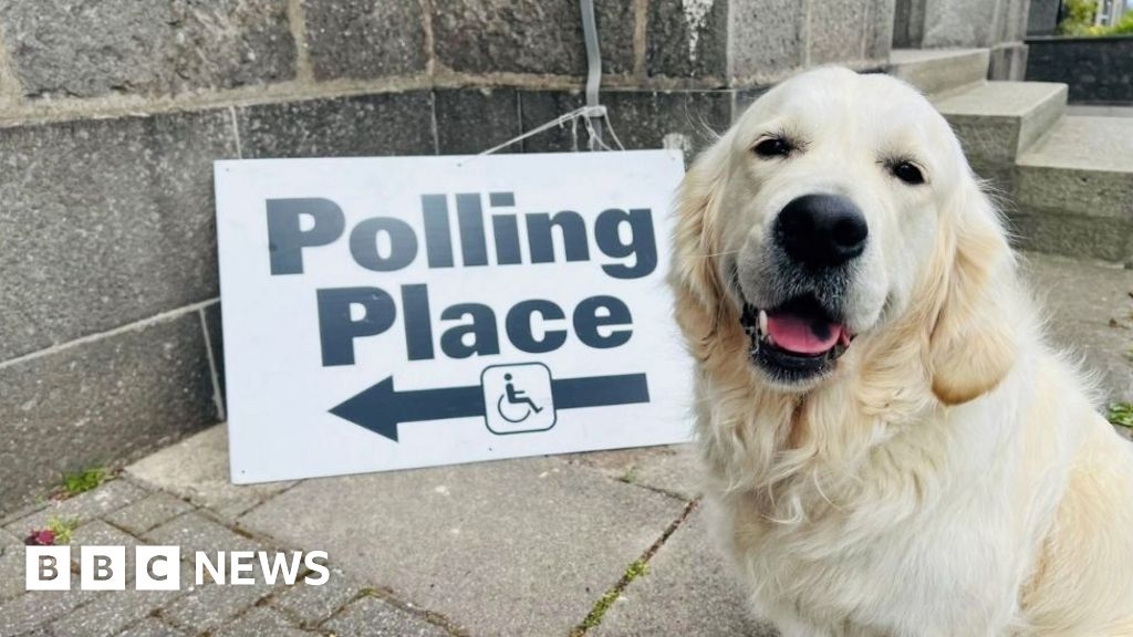 Polls to open in Hamilton by-election