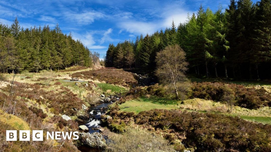 Consultation on scrapped national park in Galloway cost £160,000
