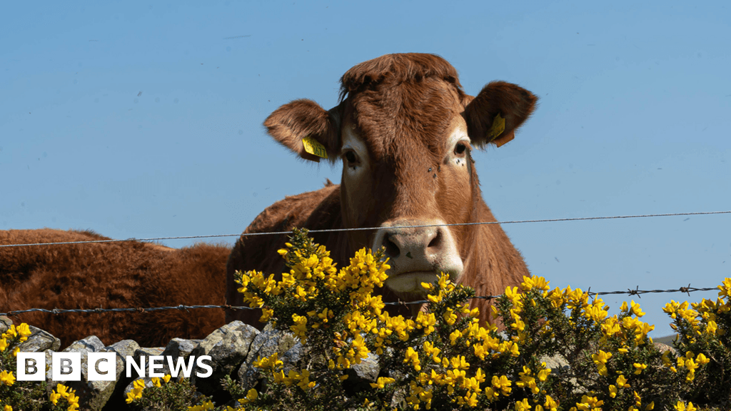 Your photos as West Midlands basks in the sun