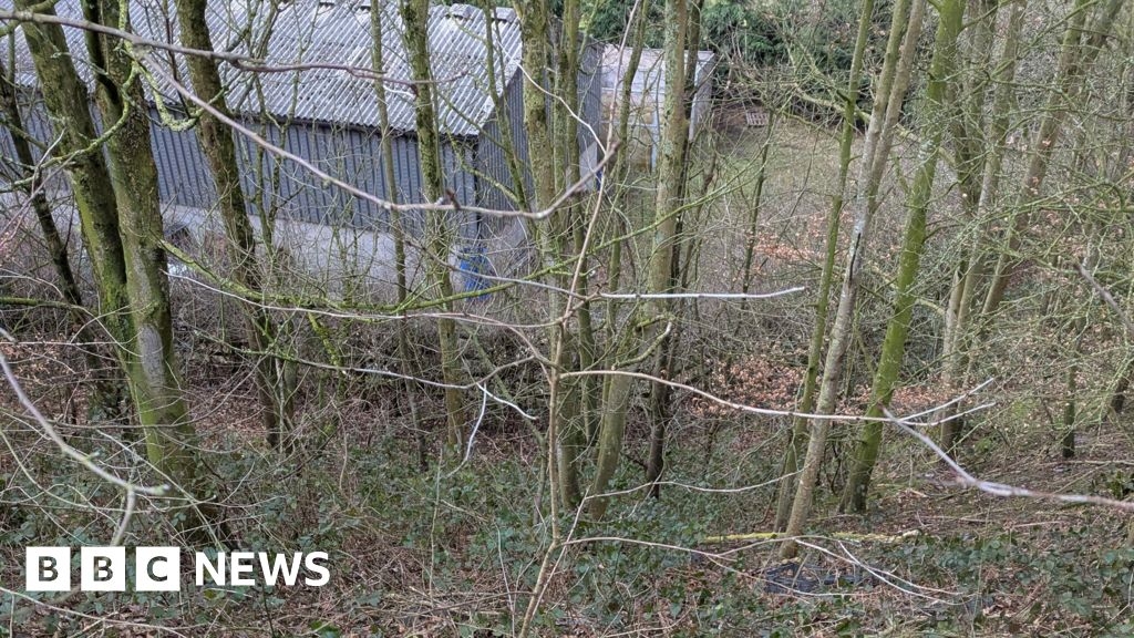 Five dead dogs dumped on Lancashire country lane near M55 bridge