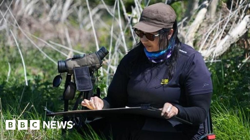 Artists to document rewilding project