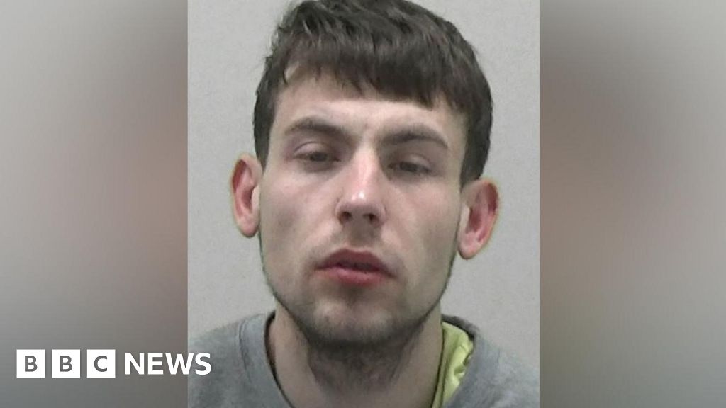 Newcastle burglar stalked ex-girlfriend before crime spree