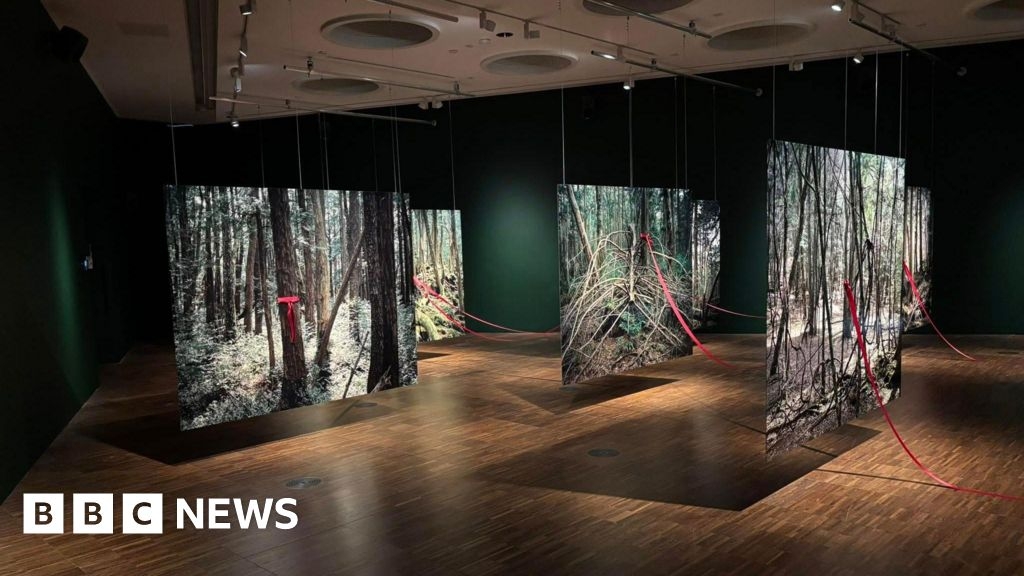 New Wolverhampton exhibition delves into 'pain and trauma' of war